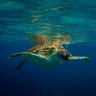 Водонепроницаемый чехол для фотоаппарата Ewa-Marine D-A